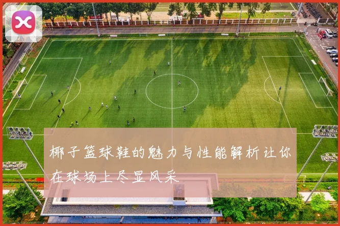 椰子篮球鞋的魅力与性能解析让你在球场上尽显风采